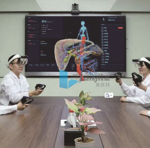 可視化ソフト - Nanjing Laiyite Electronic Technology Co., Ltd - 分析 / 計画用 / 医療訓練用