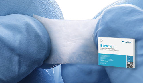 歯科手術細胞シート - Bonamem™ - WaldentBiotech - コラーゲン / 異種移植 / 吸収性