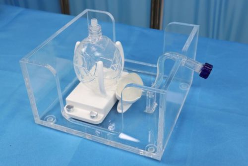 前立腺触診用シミュレーター - US-P001 - Yunes Medical Technology Limited - 内視鏡用 / 医療訓練用 / 泌尿器ケア