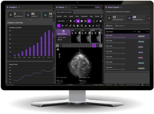 クラウド コンピューティング付PACS（画像保管通信システム） - Diagnostic Suite™ - DeepHealth - 医用画像用 / ウェブ上 / 医療用