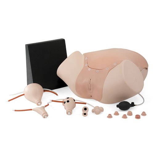 産婦人科用訓練用マネキン - P91  - 3B Scientific   - カテーテル / 女性用 / 骨盤の