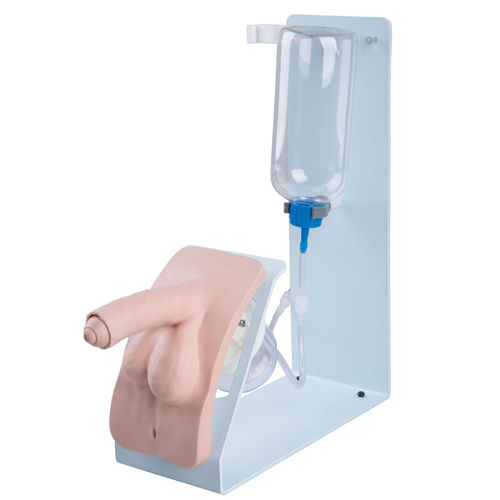 カテーテルシミュレーター - P93B-M - 3B Scientific   - 男性用 / ペニスの