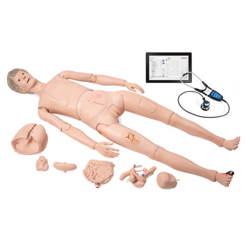 看護用訓練用マネキン - P10CCD - 3B Scientific - 聴診 / 解体可能