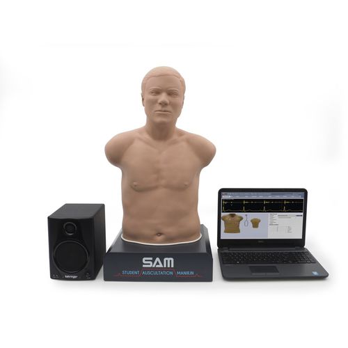 聴診訓練用マネキン - SAM 3G&reg; - 3B Scientific   - 救急医療用 / 成人 / 胴体の