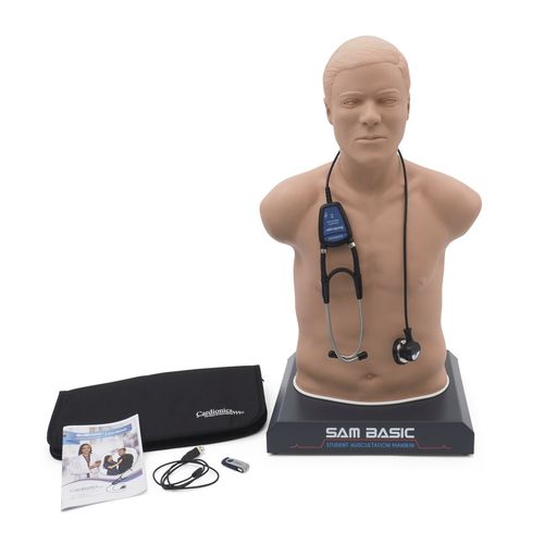 聴診訓練用マネキン - SAM Basic® - 3B Scientific   - 救急医療用 / 成人 / 胴体の