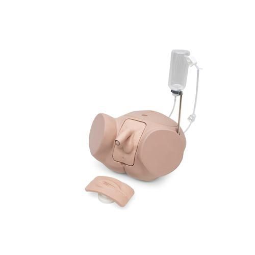 カテーテルシミュレーター - P93SPC-S - 3B Scientific   - 女性用 / 男性用 / キット