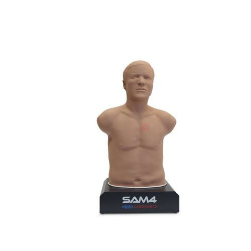 実習用シミュレーター - SAM4 - 3B Scientific   - デモ用 / 医療訓練用 / 一般的な治療用