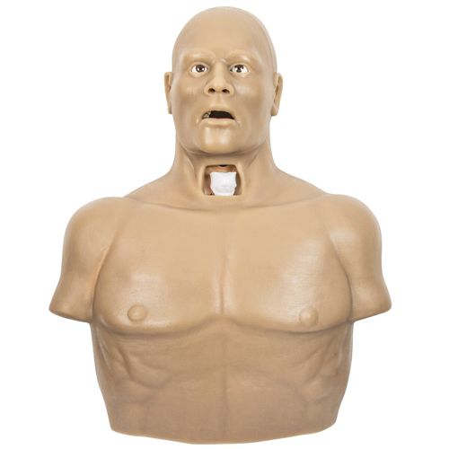 胸腔穿刺シミュレーター - 6N1 - 3B Scientific   - 一般的な治療用 / 男性用 / 胴体の