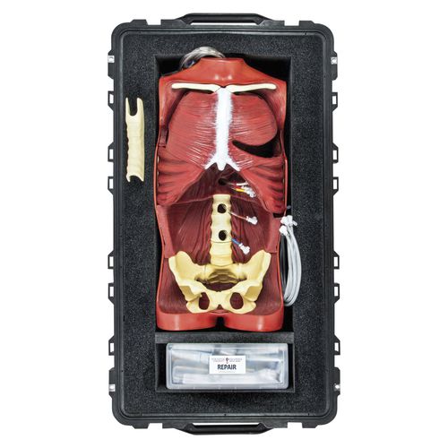 医療訓練用シミュレーター - OS3 - 3B Scientific   - 手術用 / 手術用 / ブロック