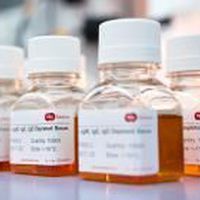 血清試薬 - SF505-2 - BBI Enzymes  - 臨床化学 / 研究用 / 液体