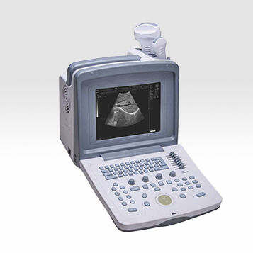 携帯型超音波装置 - BU-907 - Biocare   - 多目的超音波画像診断用 / 白黒 / 二ードルガイド
