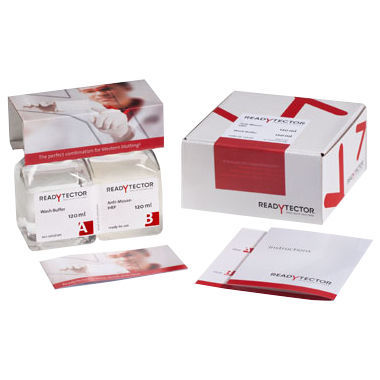溶液試薬キット - ReadyTector®  - CANDOR Bioscience   - 洗浄緩衝液 / ウェスタンブロット法用