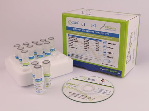 敗血症検査キット - EG-90052-UNI - Elisabeth Pharmacon spol  - 性感染症 / マイコプラズマ / マイコプラズマ・ジェニタリウム
