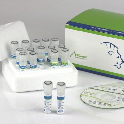 COVID-19用検査キット - EliGene® - Elisabeth Pharmacon spol  - 口腔スワブ用 / SARS-CoV-2 / 診療所用