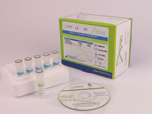 脊椎関節炎検査キット - EG-90060-C6	 - Elisabeth Pharmacon spol  - HLA-B27 / 診療所用 / 表面用