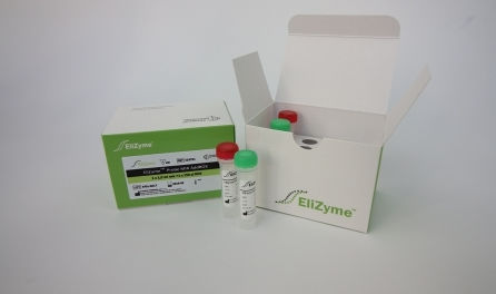 酵素試薬キット - EliZyme™ Probe MIX - Elisabeth Pharmacon spol  - 染料 / リアルタイムPCR用 / 増幅反応用