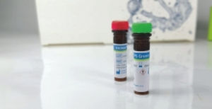 染料試薬 - EliDNA PS Green Plus - Elisabeth Pharmacon spol  - 染料 / 電気泳動 / DNA用