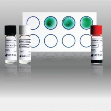 感染病用検査キット - Strepto Color - ELITech Group  - ASO / 血清 / 研究所用