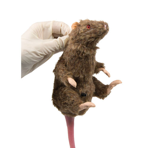 動物研究用訓練用マネキン - VET4210 - Erler-Zimmer - 齧歯動物