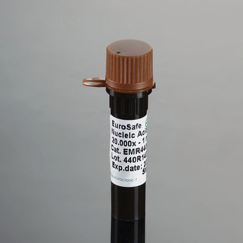 染料試薬 - EuroSafe - EuroClone - 電気泳動 / 核酸 / 液体