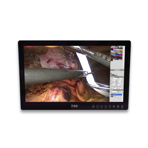 医療用モニター - FS-E2101DT - FSN Medical Technologies - 内視鏡用 / HD / 21.5インチ