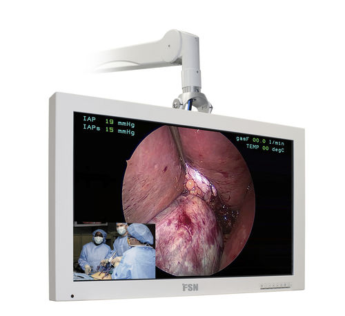 診断用モニター - FS-L3202D - FSN Medical Technologies - 内視鏡用 / 外科用 / フルHD