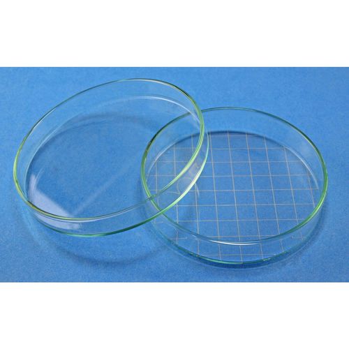 ガラス製ペトリ皿 - 41044   - Glaswarenfabrik Karl Hecht - カウントグリッド付