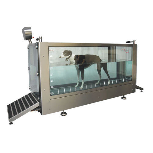 沈んだ動物トレッドミル - Hydro Physio - Hydro Physio - 犬用