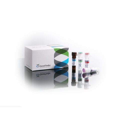性感染症検査キット - GeneFinder™  - OSANG Healthcare - ウレアプラズマ・ウレアリチカム / クラミジア・トラコマチス / 血液