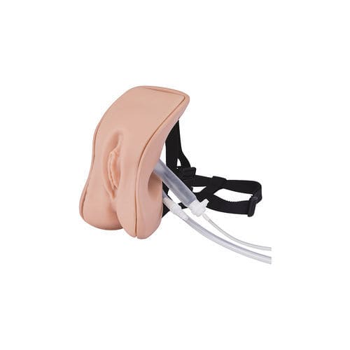 カテーテルシミュレーター - LM-109FA - KOKEN  - -翻訳中- / 産婦人科用 / 女性用