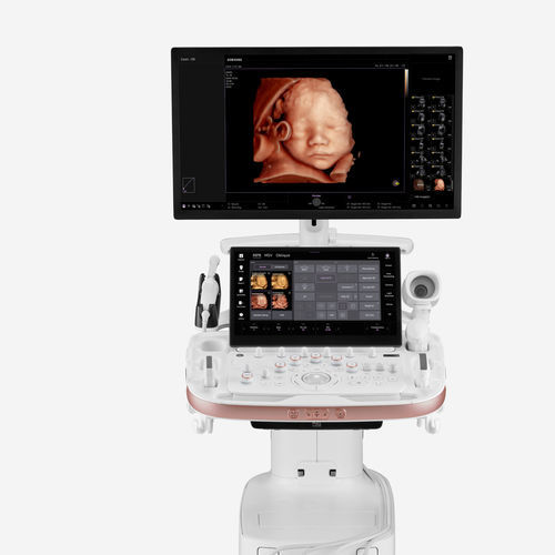 プラットフォーム上超音波装置 - HERA Z20 - Samsung Healthcare Germany - 婦人・産科超音画像診断用 / 白黒 / カラードップラー