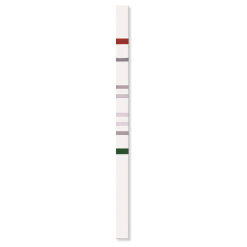 遺伝子突然変異用試験紙 - PGX-TPMT StripAssay® - ViennaLab Diagnostics  - TPMT / 遺伝子用 / 鉛