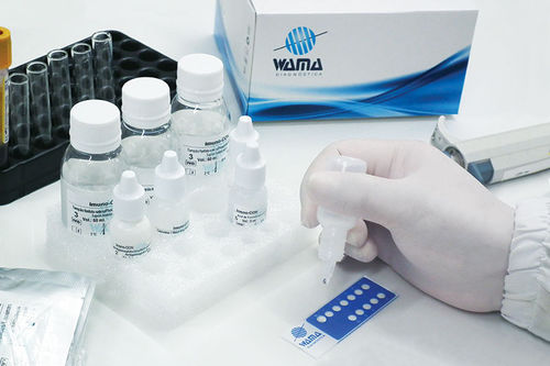 溶液試薬 - Wama Diagnostica - 診療所用 / ANA HEp-2 / トキソプラズマ・ゴンディ