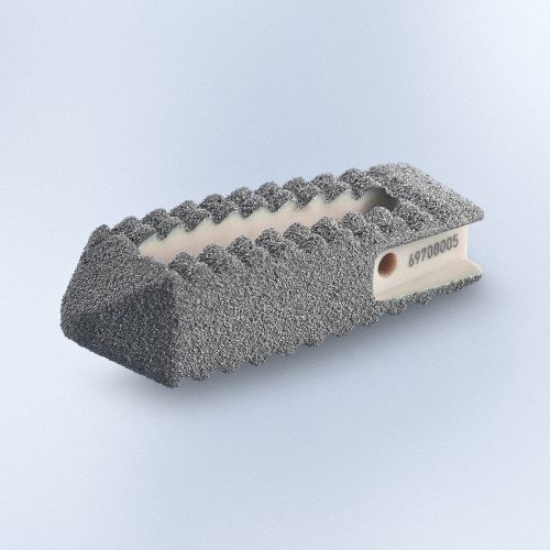 腰椎椎体間ケージ - PROSPACE®XP - Aesculap®/ビー・ブラウン - 後方進入