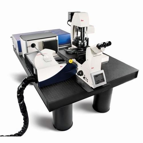 CARS顕微鏡 - TCS SP8  - Leica Microsystems/ライカ - 赤外線 / 赤外線 / 実験用