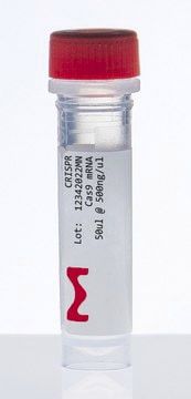 Cas9タンパク質試薬 - CAS9MRNA-1EA - Merck - DNA シークエンシング用