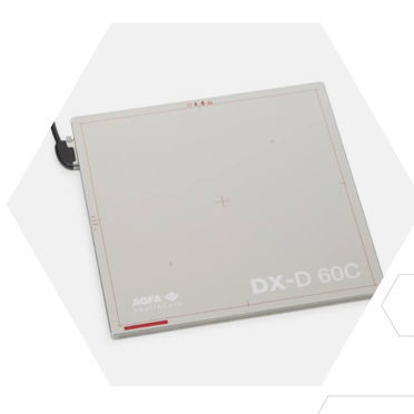 動物レントゲン用フラットパネルディテクタ - DX-D 60 - AGFA - ポータブル / 17 x 17