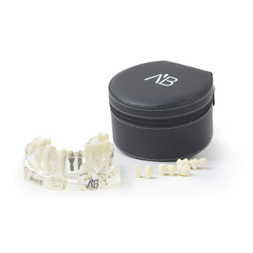 顎の解剖模型 - TLJ  - A.B. Dental Devices - インプラント用 / プラスチック製 / 透明