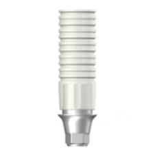 コバルト クロム製インプラントアバットメント - RAB 45 CLH  - Dentium - インターナル六角形 / ストレートタイプ