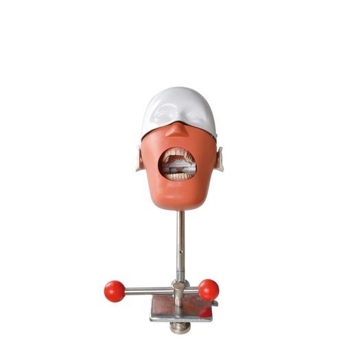 医療訓練用シミュレーター - Foshan Roson Medical Instrument - 歯科用 / 一般的な治療用 / 歯科疾患