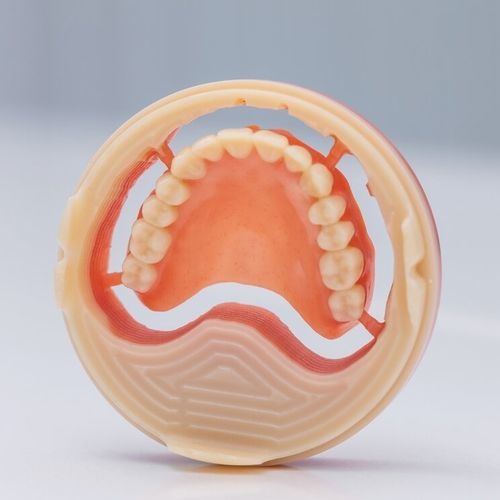 歯茎の解剖模型 - Ivotion® - Ivoclar Vivadent - 歯並び用 / 顎の / 歯科用