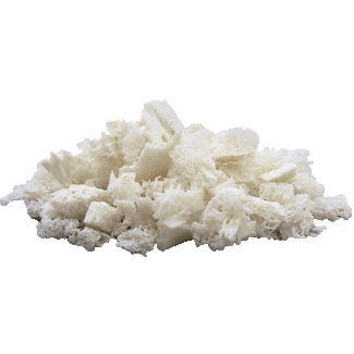 同種移植代用骨 - ReadiGraft® - Lifenet Health   - 整形外科手術 / 硬質