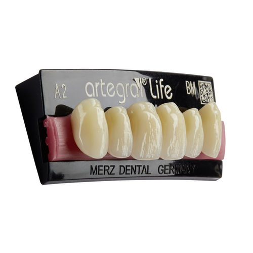 PMMA義歯 - artegral®life - Merz Dental GmbH   - 前歯 / 奥歯 / 半透明