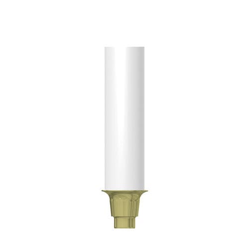 プラスチック製インプラントアバットメント - CN-GP010 - MIS Implants Technologies Ltd.   - 円錐形 / ストレートタイプ