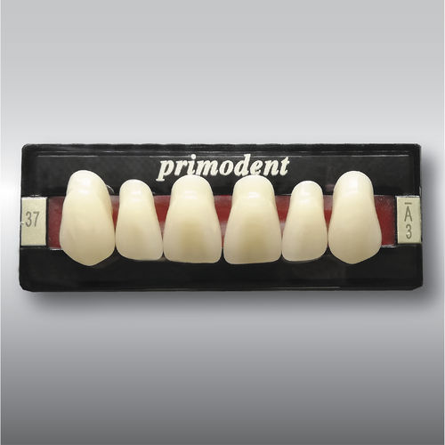 アクリル製義歯 - PRIMODENT  - POLIDENT d.o.o.   - 前歯 / 奥歯