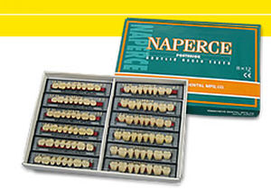 アクリル製義歯 - NAPERCE - YAMAHACHI DENTAL MFG., CO.   - 奥歯