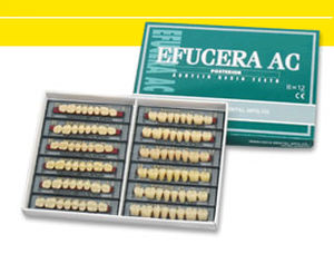 アクリル製義歯 - EFUCERA AC  - YAMAHACHI DENTAL MFG., CO.   - 奥歯