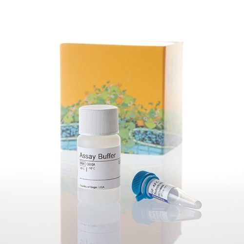 医療研究用検査キット - CellTiter-Fluor™ - Promega France - 細胞生存性 / 細胞毒性 / プロテアーゼ
