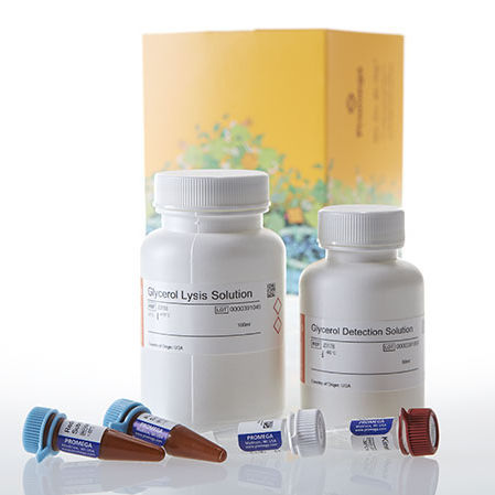 血清試薬キット - Glycerol-Glo™ - Promega France - 組織用 / 有機試料 / リン酸塩