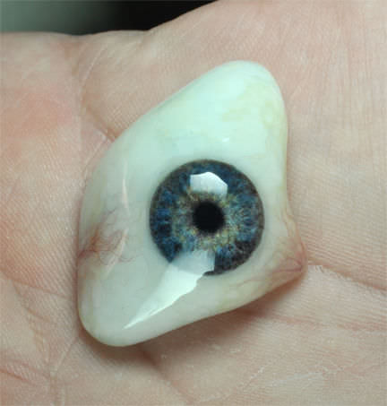 目用美容人口装具 - RealLifeEye™ - RealLifeSkin - 大人用